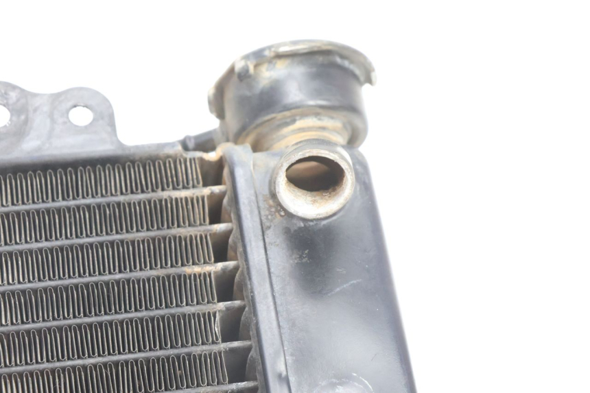 photo de RADIATORE HONDA SH 125 (2001 - 2003) - Dettaglio del componente