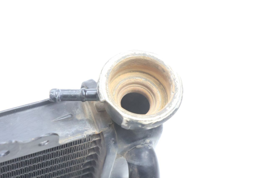 photo de RADIATORE HONDA SH 125 (2001 - 2003) - Altra angolazione