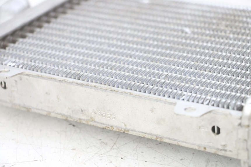 photo de RADIATORE PEUGEOT SPEEDFIGHT 2 LC 50 (2000 - 2009) - Zoom sullo stato d'uso