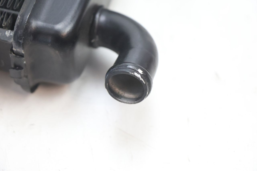 photo de RADIATORE PEUGEOT SPEEDFIGHT LC 50 (1996 - 2002) - Marcature e riferimenti originali