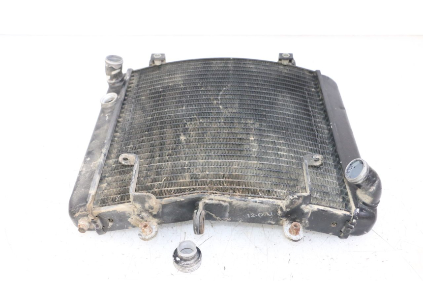 photo de RADIATORE KTM SUPERENDURO R 950 (2005 - 2009) - Altra angolazione