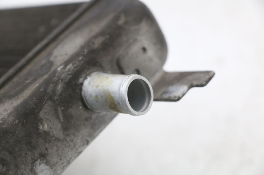 photo de RADIATORE SUZUKI BURGMAN 125 (2018 - 2021) - Vista d'insieme del prodotto