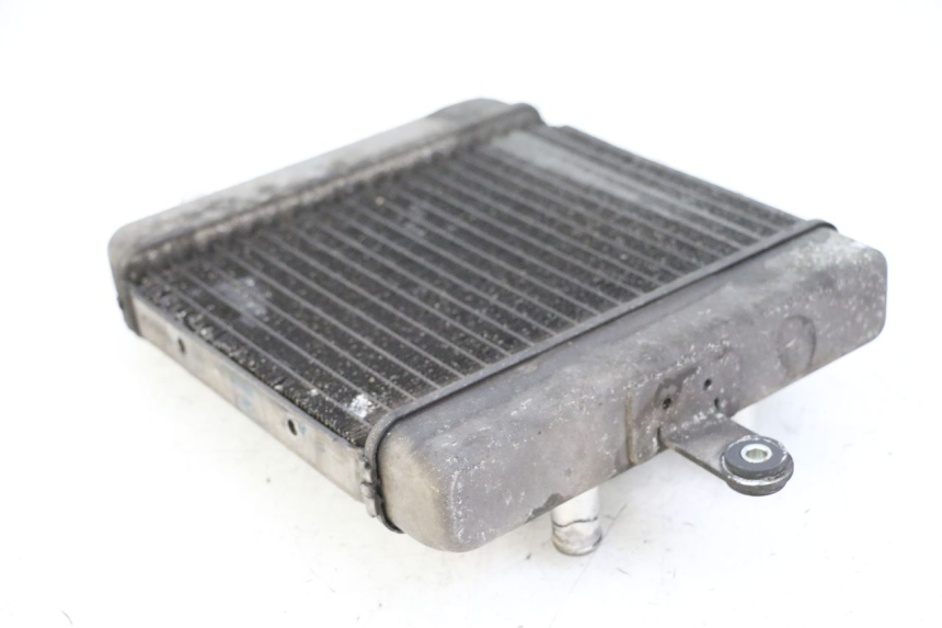 photo de RADIATORE SUZUKI BURGMAN 125 (2015 - 2017) - Altra angolazione