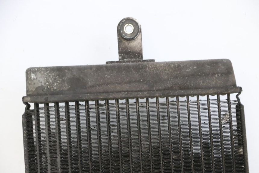 photo de RADIATORE SUZUKI BURGMAN 125 (2015 - 2017) - Marcature e riferimenti originali