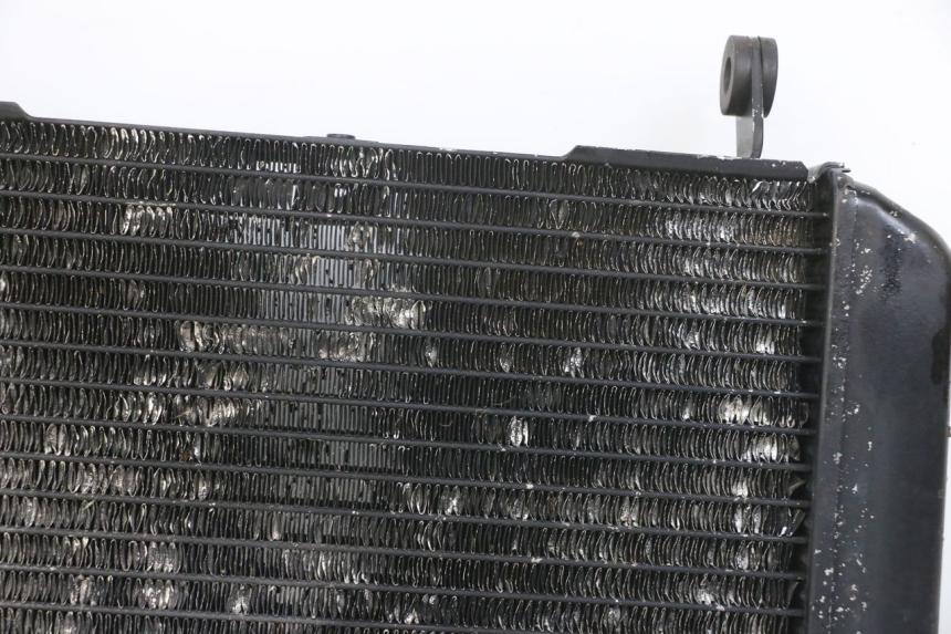 photo de RADIATORE SUZUKI SV N 650 (1999 - 2002) - Foto prodotto supplementare