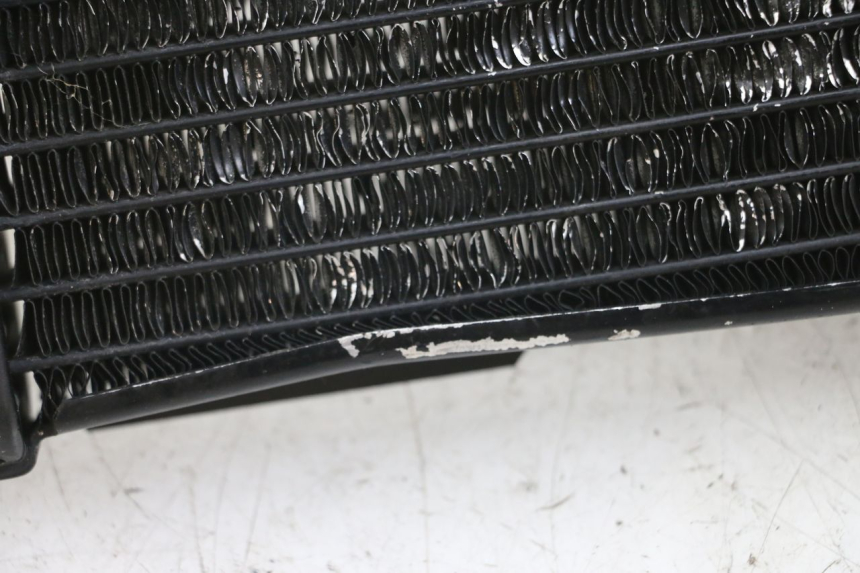 photo de RADIATORE SUZUKI SV N 650 (1999 - 2002) - Primo piano tecnico