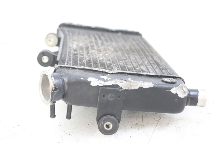 photo de RADIATORE YAMAHA TDM ABS 900 (2002 - 2014) - Dettaglio del componente