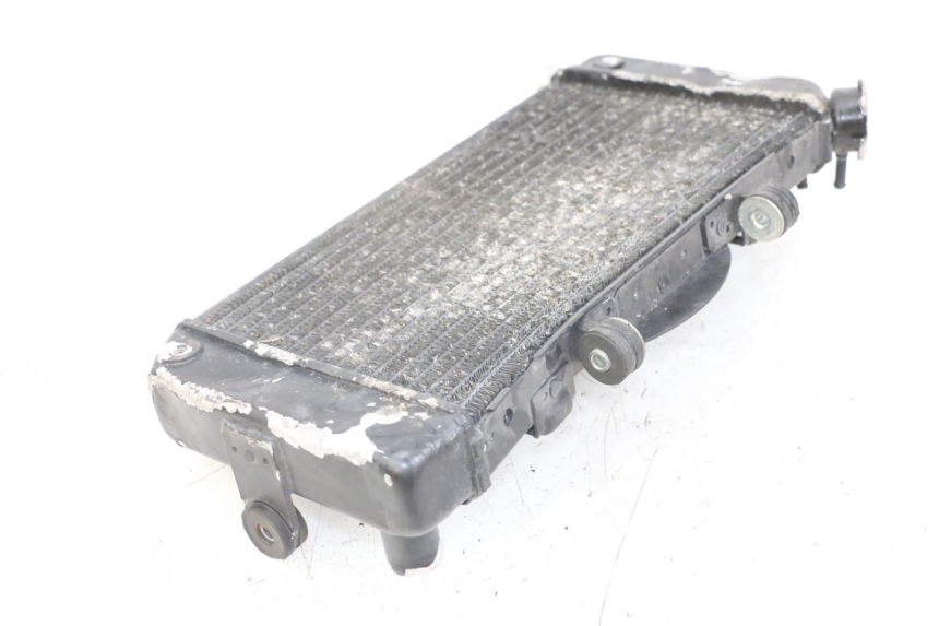 photo de RADIATORE YAMAHA TDM ABS 900 (2002 - 2014) - Primo piano tecnico