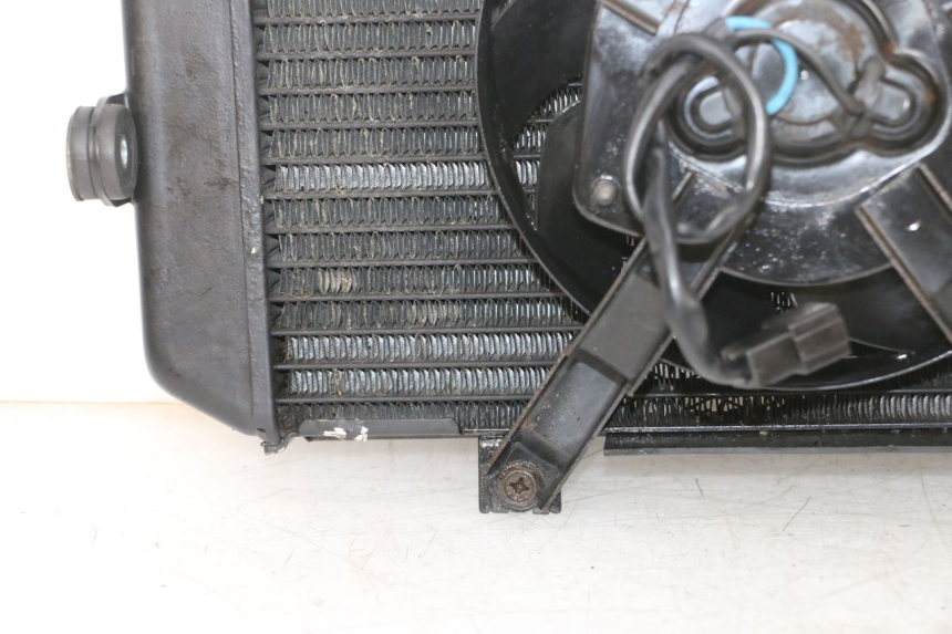 photo de RADIATORE YAMAHA TDM ABS 900 (2002 - 2014) - Zoom sui componenti