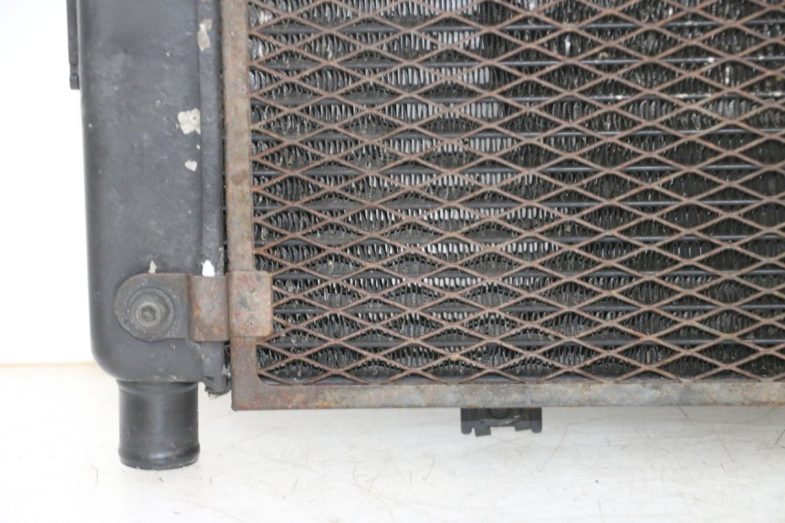 photo de RADIATORE YAMAHA TDM ABS 900 (2002 - 2014) - Angolazione alternativa