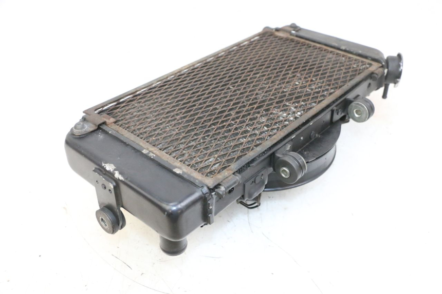 photo de RADIATORE YAMAHA TDM ABS 900 (2002 - 2014) - Vista d'insieme del prodotto