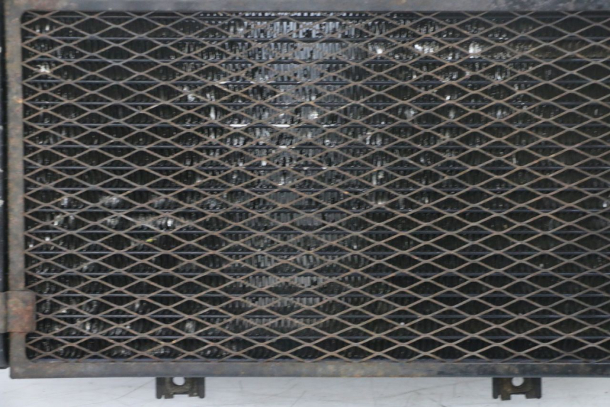 photo de RADIATORE YAMAHA TDM ABS 900 (2002 - 2014) - Zoom sui componenti