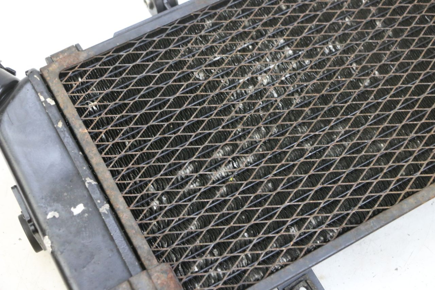 photo de RADIATORE YAMAHA TDM ABS 900 (2002 - 2014) - Vista d'insieme del prodotto