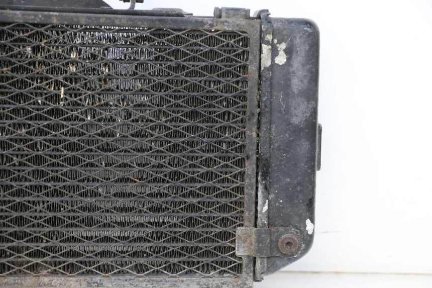 photo de RADIATORE YAMAHA TDM ABS 900 (2002 - 2014) - Caratteristiche distintive