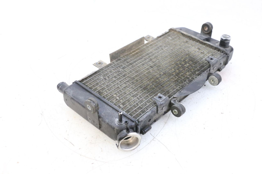 photo de RADIATORE YAMAHA TDM ABS 900 (2002 - 2014) - Vista d'insieme del prodotto