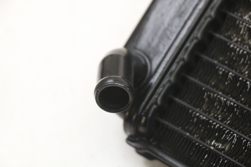 photo de RADIATORE YAMAHA TDR DELTABOX 125 (1997 - 2003) - Dettaglio del componente