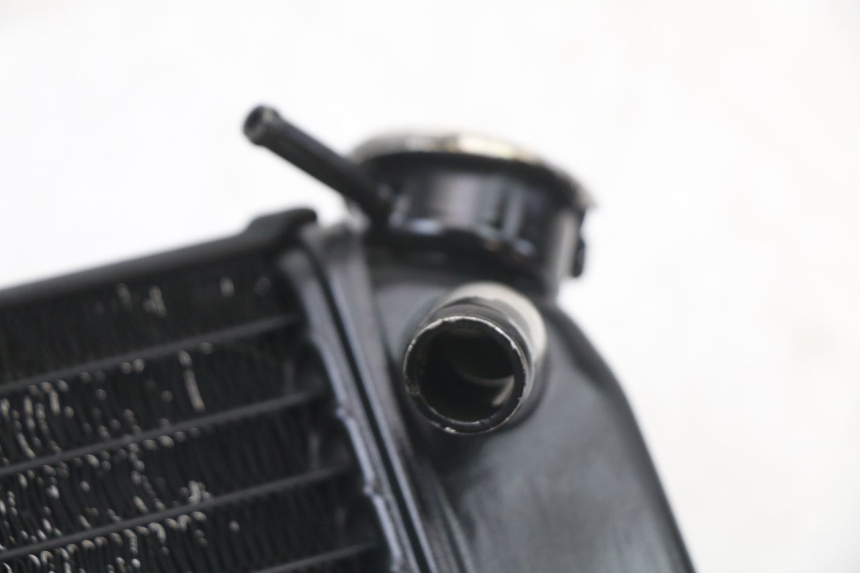 photo de RADIATORE YAMAHA TDR DELTABOX 125 (1997 - 2003) - Zoom sullo stato d'uso