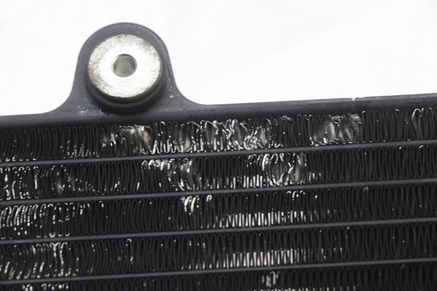 photo de RADIATORE YAMAHA TDR DELTABOX 125 (1997 - 2003) - Dettagli dei punti di fissaggio