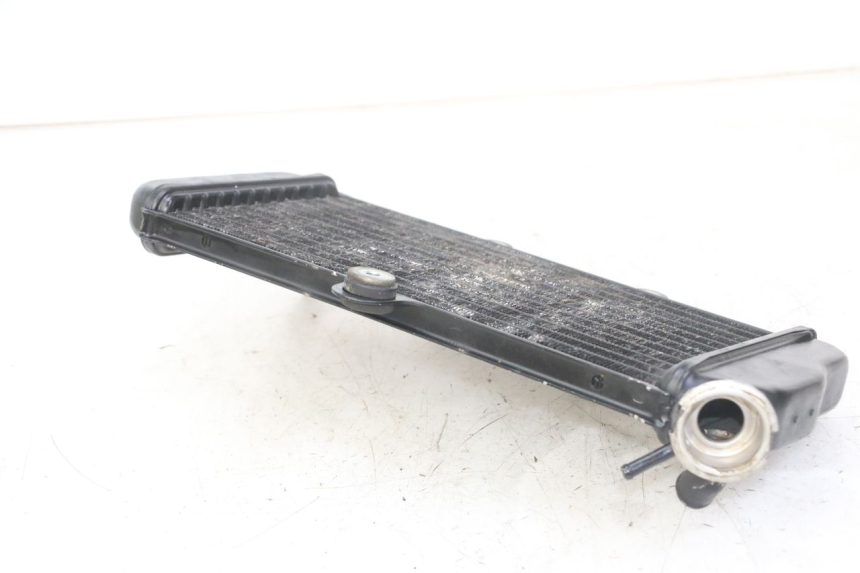 photo de RADIATORE YAMAHA TDR DELTABOX 125 (1997 - 2003) - Altra vista dell'articolo