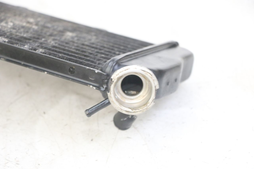 photo de RADIATORE YAMAHA TDR DELTABOX 125 (1997 - 2003) - Caratteristiche distintive