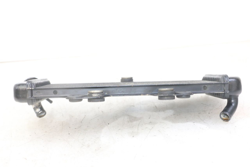 photo de RADIATORE YAMAHA TDR DELTABOX 125 (1997 - 2003) - Zoom sullo stato d'uso