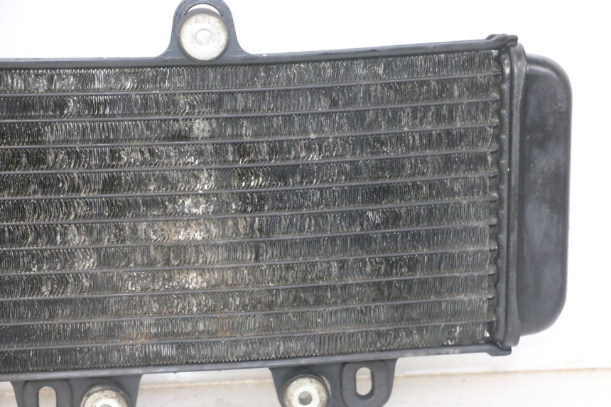 photo de RADIATORE YAMAHA TDR DELTABOX 125 (1997 - 2003) - Primo piano tecnico