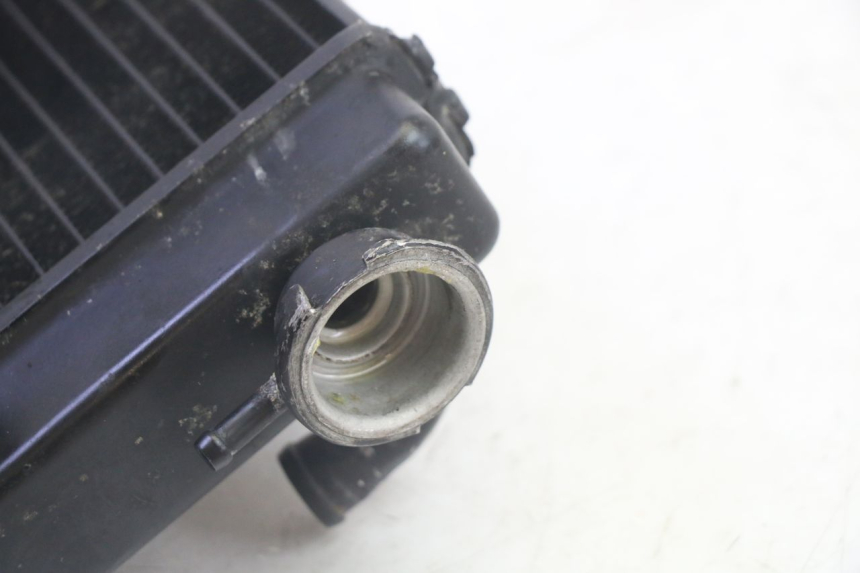 photo de RADIATORE KSR TR SM 50 (2015 - 2018) - Primo piano tecnico