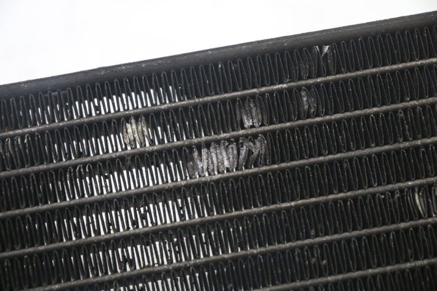 photo de RADIATORE YAMAHA X-MAX XMAX 125 (2010 - 2013) - Dettaglio del componente