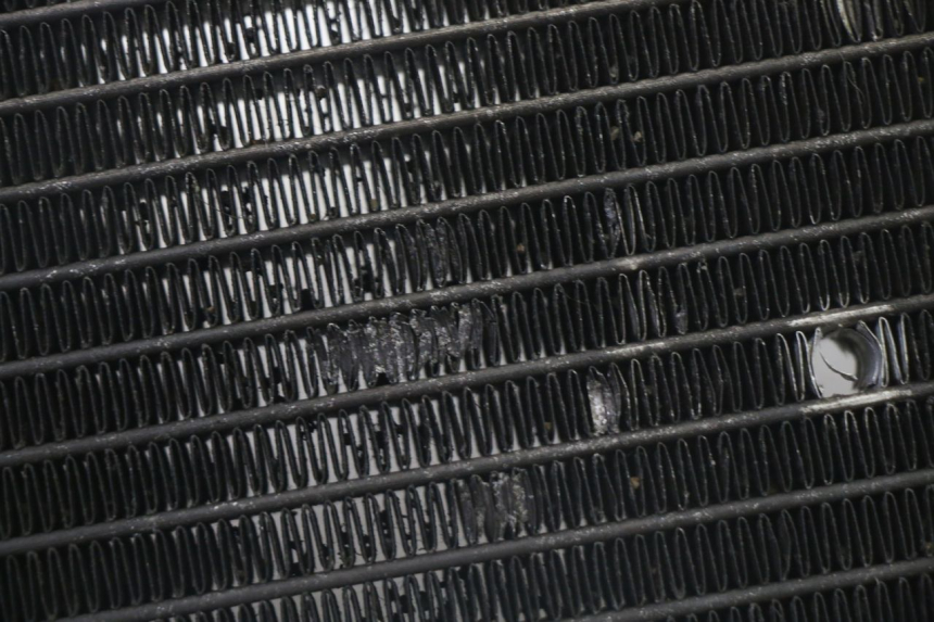 photo de RADIATORE YAMAHA X-MAX XMAX 125 (2010 - 2013) - Zoom sullo stato d'uso