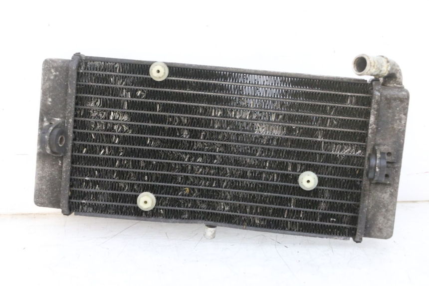 photo de RADIATORE YAMAHA X-MAX XMAX 125 (2010 - 2013) - Dettaglio del componente
