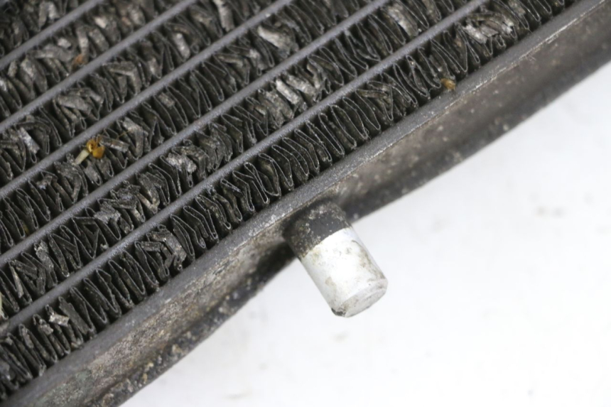 photo de RADIATORE YAMAHA X-MAX XMAX 125 (2010 - 2013) - Ricambio usato controllato