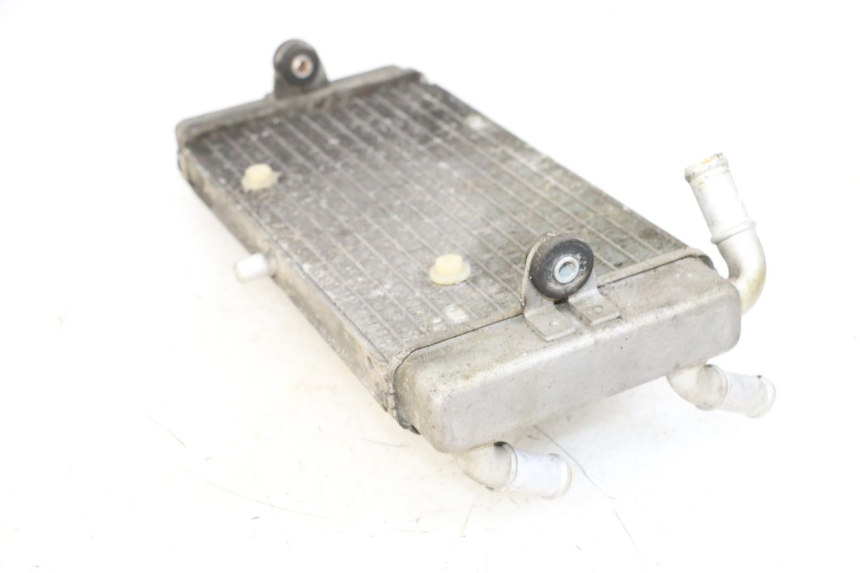 photo de RADIATORE YAMAHA X-MAX XMAX 125 (2010 - 2013) - Dettaglio del componente