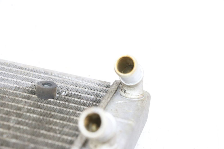 photo de RADIATORE YAMAHA X-MAX XMAX 125 (2010 - 2013) - Primo piano tecnico