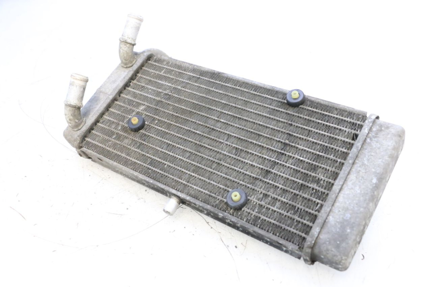 photo de RADIATORE YAMAHA X-MAX XMAX 125 (2010 - 2013) - Dettaglio del componente