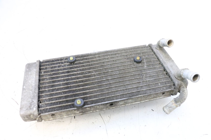 photo de RADIATORE YAMAHA X-MAX XMAX 125 (2010 - 2013) - Zoom sullo stato d'uso