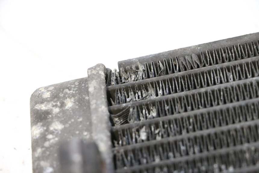 photo de RADIATORE YAMAHA X-MAX XMAX 125 (2010 - 2013) - Stato della superficie e materiale