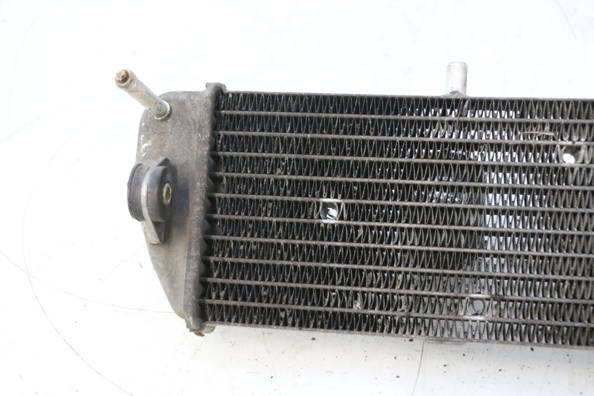 photo de RADIATORE YAMAHA XMAX X-MAX 125 (2006 - 2009) - Zoom sullo stato d'uso