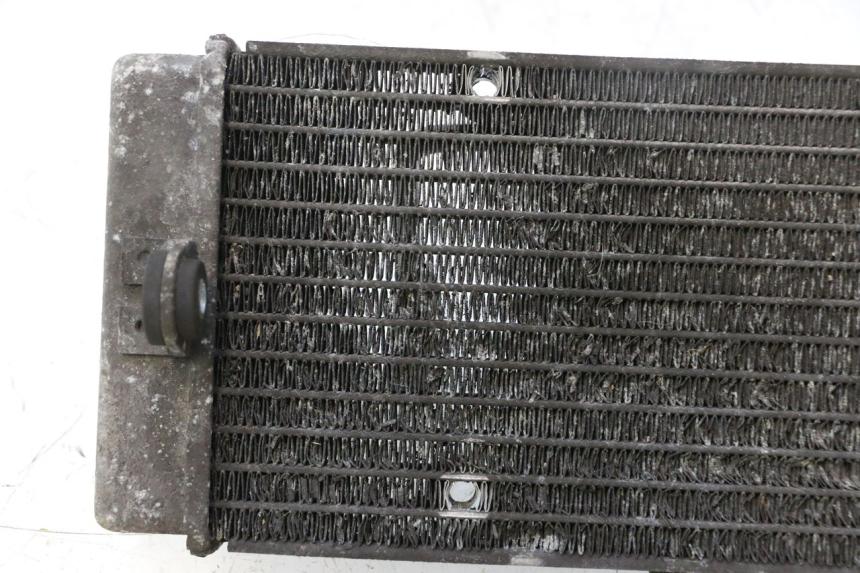 photo de RADIATORE YAMAHA X-MAX XMAX 125 (2010 - 2013) - Primo piano tecnico