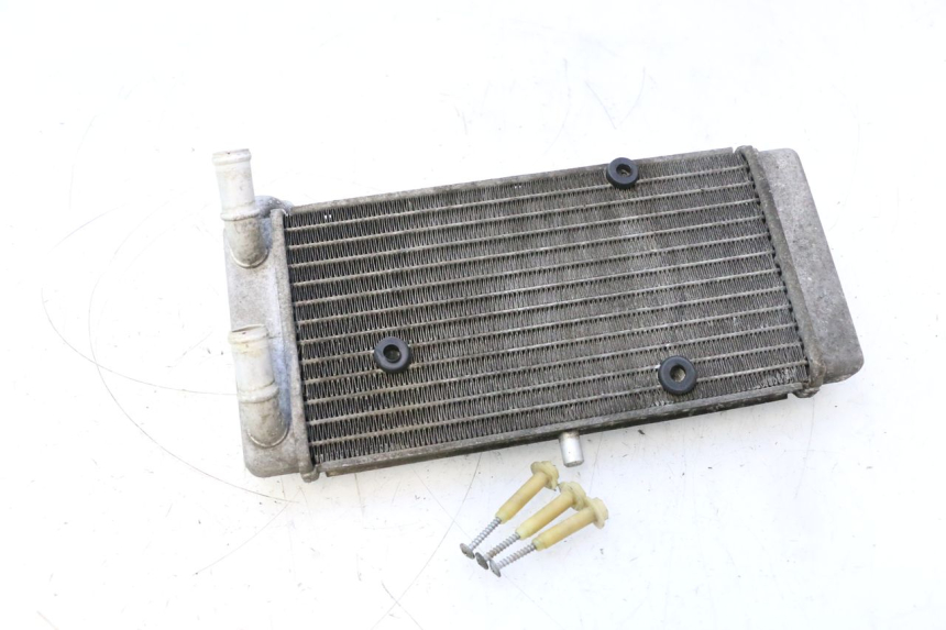 photo de RADIATORE YAMAHA X-MAX XMAX 125 (2010 - 2013) - Ricambio usato controllato