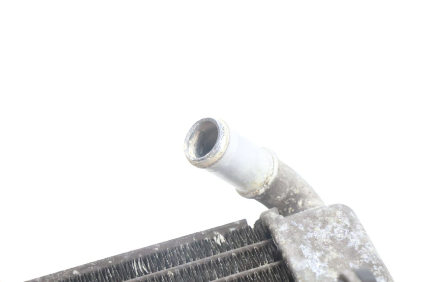 photo de RADIATORE YAMAHA X-MAX XMAX 125 (2010 - 2013) - Stato della superficie e materiale