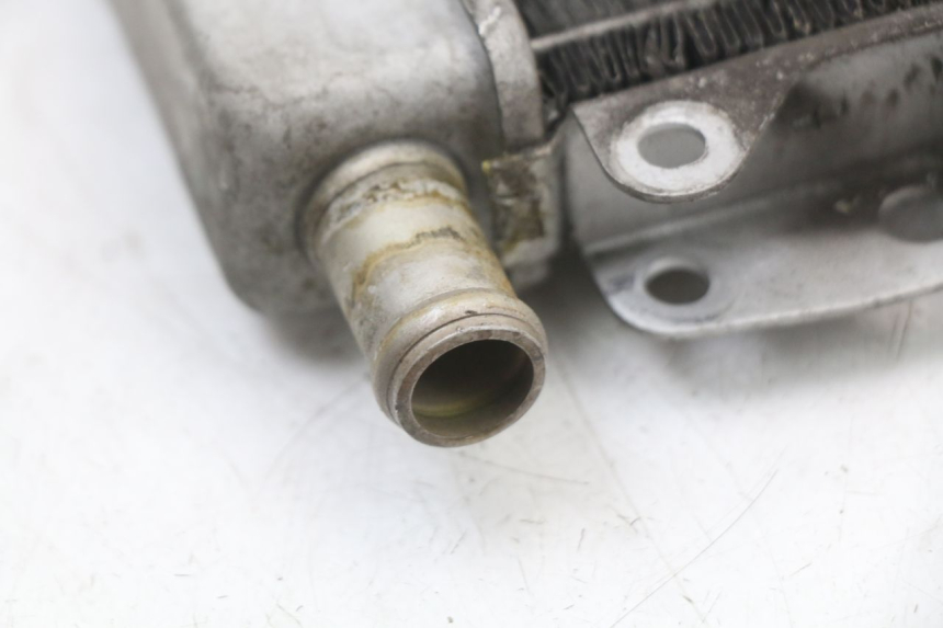 photo de RADIATORE PIAGGIO X10 125 (2012 - 2017) - Primo piano tecnico