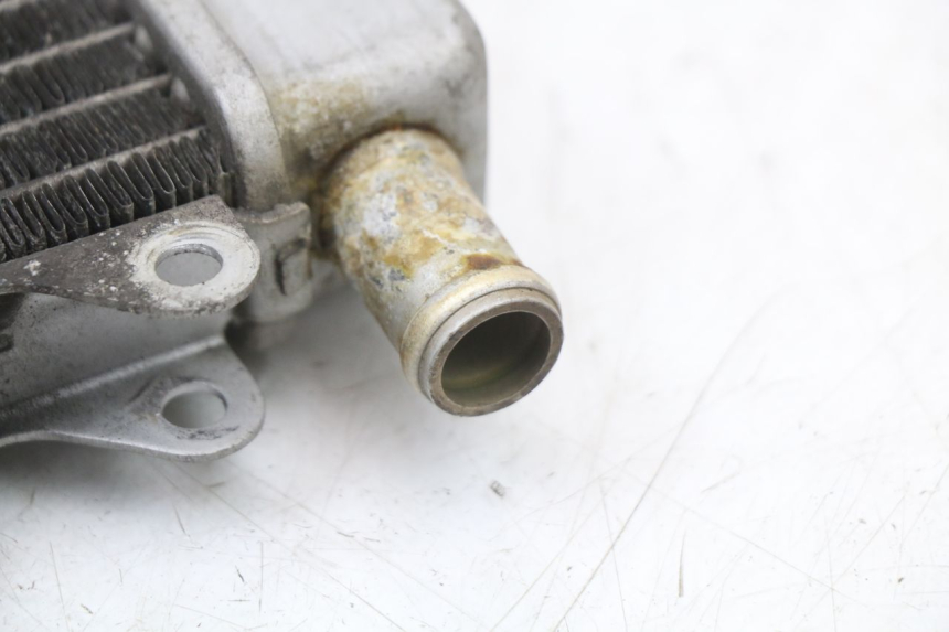 photo de RADIATORE PIAGGIO X10 125 (2012 - 2017) - Vista d'insieme del prodotto