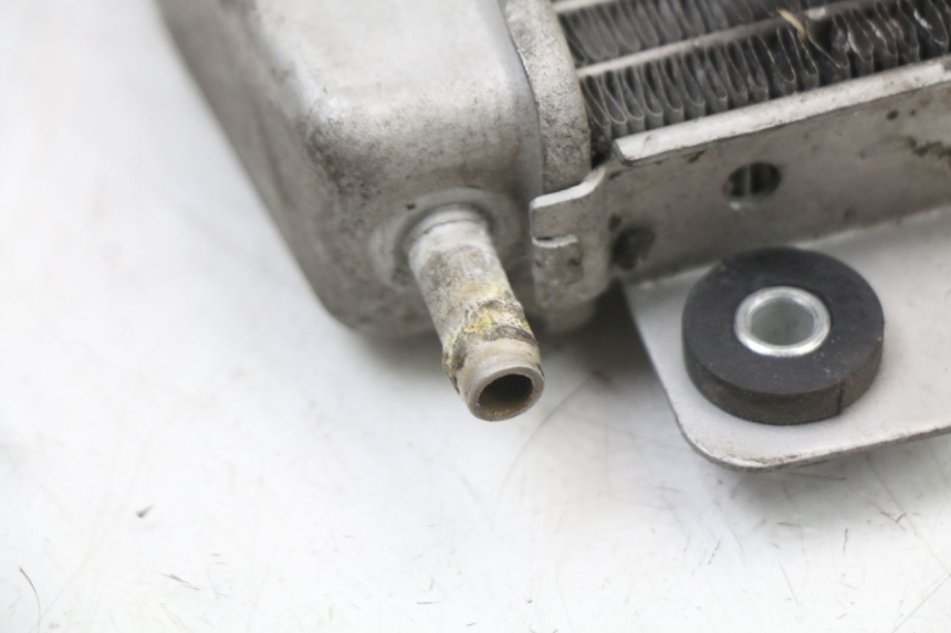 photo de RADIATORE PIAGGIO X10 125 (2012 - 2017) - Stato della superficie e materiale