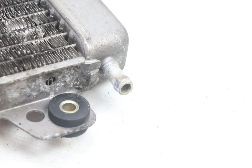 photo de RADIATORE PIAGGIO X9 AMALFI 180 (2000 - 2003) - Caratteristiche distintive