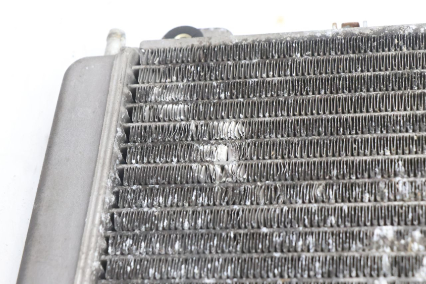 photo de RADIATORE PIAGGIO X9 AMALFI 180 (2000 - 2003) - Primo piano tecnico