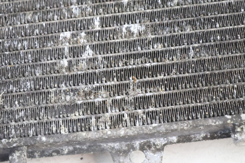 photo de RADIATORE PIAGGIO X9 AMALFI 180 (2000 - 2003) - Dettagli dei punti di fissaggio