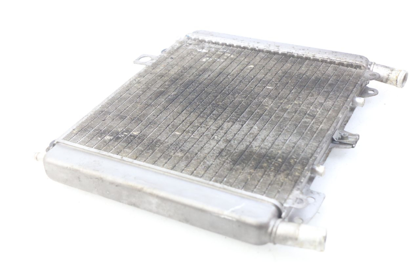 photo de RADIATORE PIAGGIO X9 EVOLUTION 500 (2003 - 2005) - Primo piano tecnico