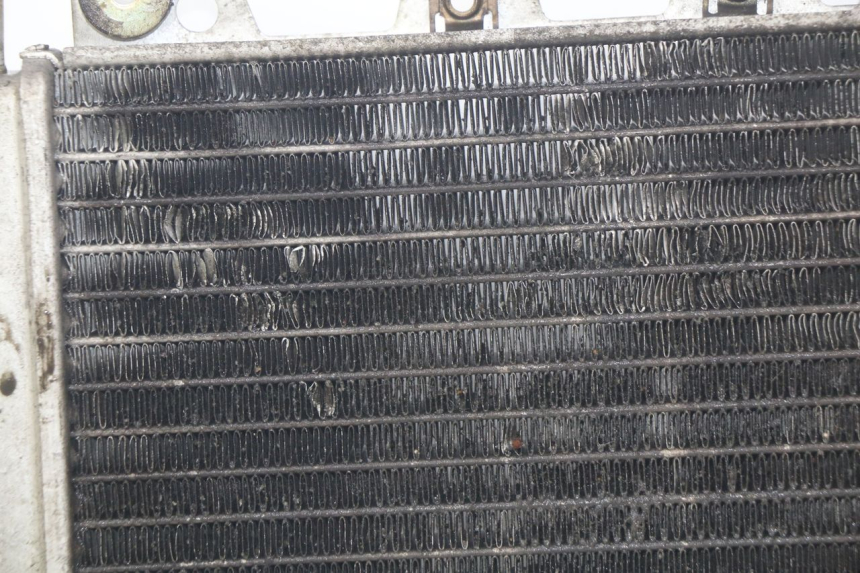 photo de RADIATORE PIAGGIO X9 EVOLUTION 250 (2003 - 2007) - Caratteristiche distintive