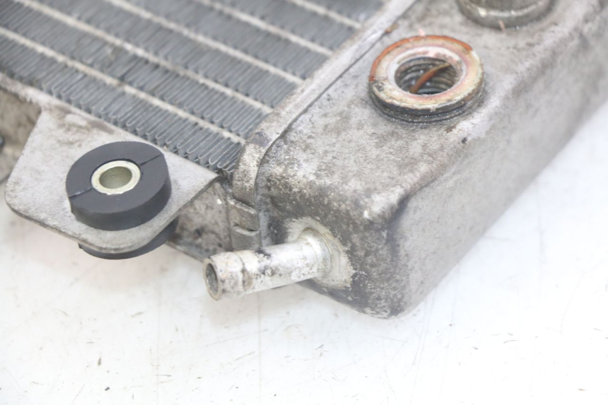 photo de RADIATORE PIAGGIO X9 EVOLUTION 250 (2003 - 2007) - Vista d'insieme del prodotto