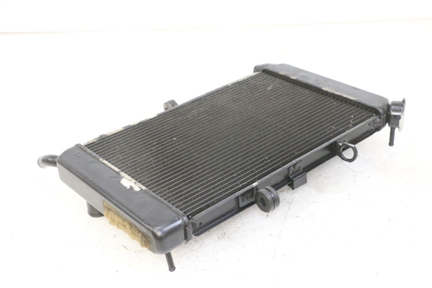 photo de RADIATORE YAMAHA XJ6 ABS 600 (2008 - 2016) - Zoom sullo stato d'uso